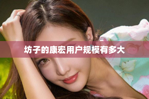 坊子的康宏用户规模有多大