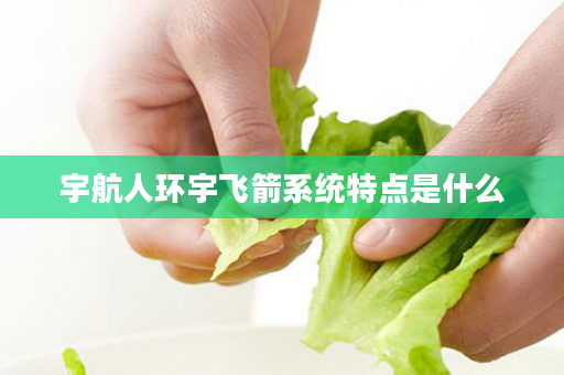 宇航人环宇飞箭系统特点是什么