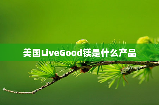 美国LiveGood镁是什么产品