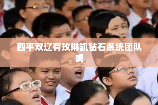 四平双辽有玫琳凯钻石系统团队吗