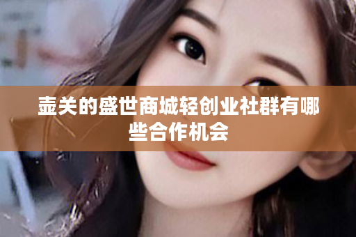 壶关的盛世商城轻创业社群有哪些合作机会