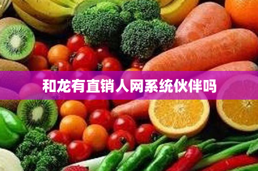 和龙有直销人网系统伙伴吗