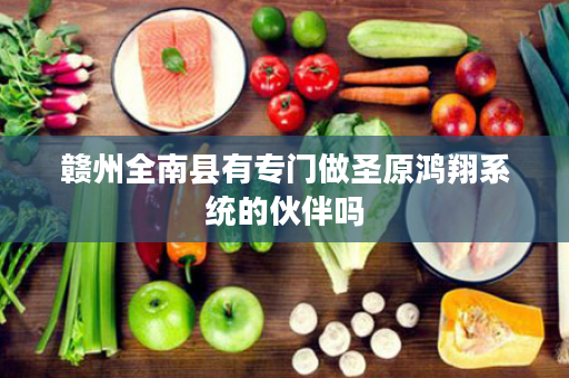 赣州全南县有专门做圣原鸿翔系统的伙伴吗