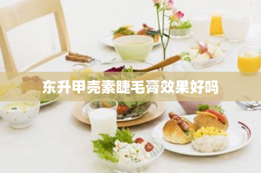 东升甲壳素睫毛膏效果好吗