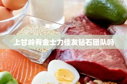 上甘岭有金士力佳友钻石团队吗