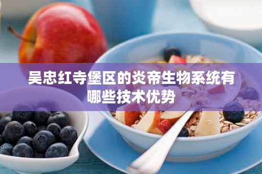 吴忠红寺堡区的炎帝生物系统有哪些技术优势