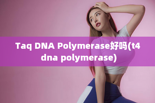Taq DNA Polymerase好吗(t4 dna polymerase)