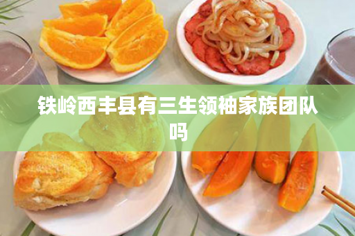 铁岭西丰县有三生领袖家族团队吗