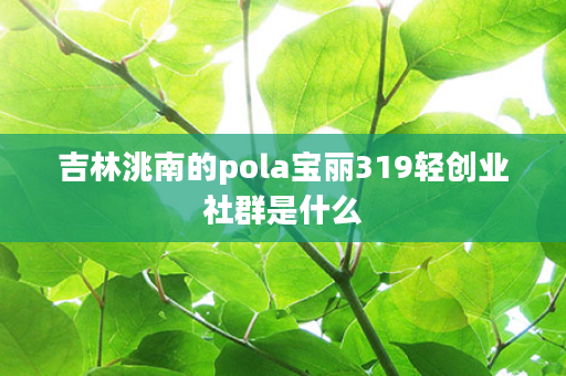吉林洮南的pola宝丽319轻创业社群是什么