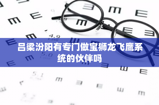吕梁汾阳有专门做宝狮龙飞鹰系统的伙伴吗