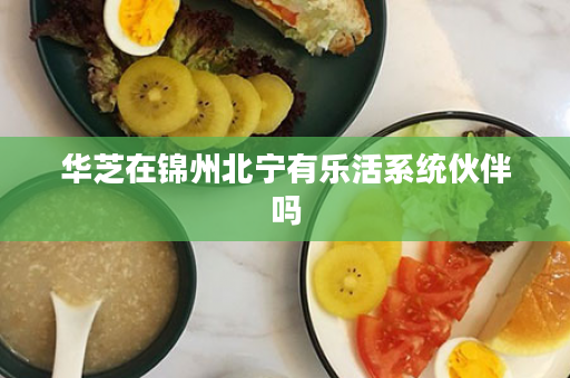 华芝在锦州北宁有乐活系统伙伴吗
