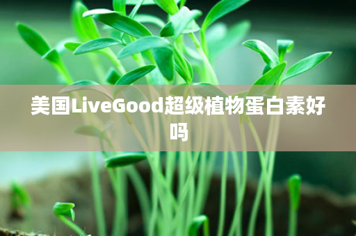 美国LiveGood超级植物蛋白素好吗