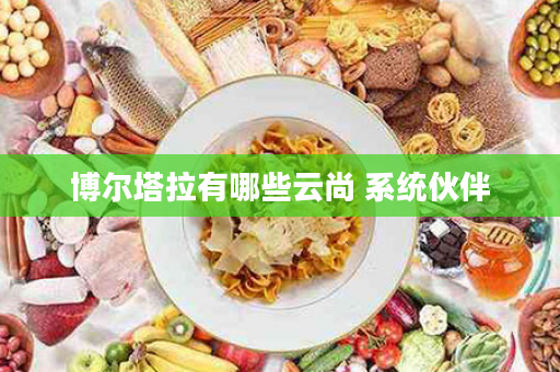 博尔塔拉有哪些云尚 系统伙伴
