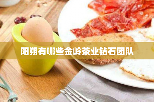 阳朔有哪些金岭茶业钻石团队