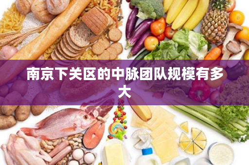 南京下关区的中脉团队规模有多大