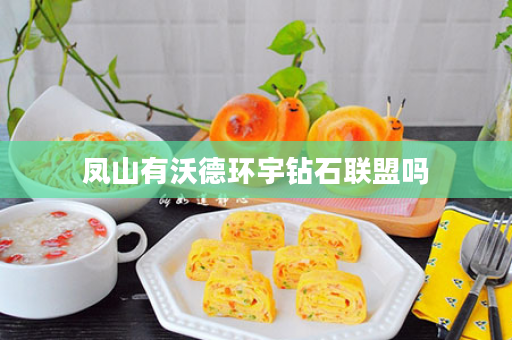 凤山有沃德环宇钻石联盟吗
