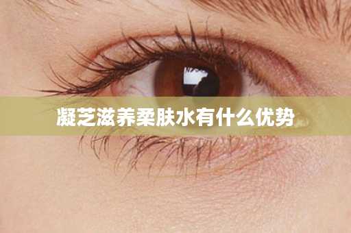 凝芝滋养柔肤水有什么优势