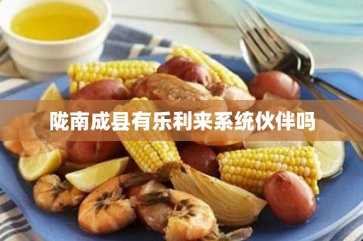 陇南成县有乐利来系统伙伴吗