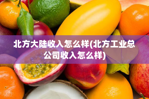 北方大陆收入怎么样(北方工业总公司收入怎么样)