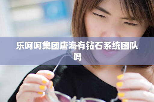 乐呵呵集团唐海有钻石系统团队吗