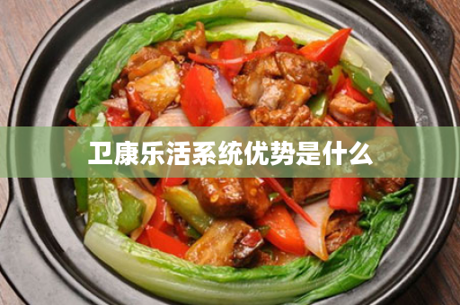 卫康乐活系统优势是什么