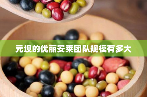 元坝的优丽安莱团队规模有多大