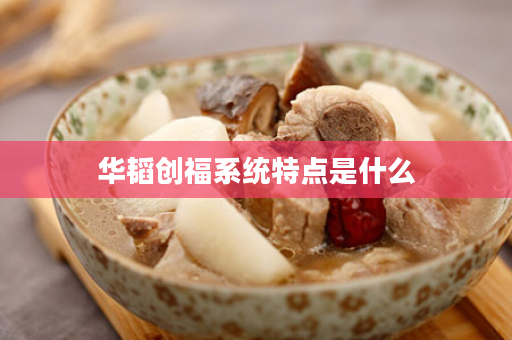 华韬创福系统特点是什么