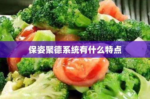 保姿聚德系统有什么特点