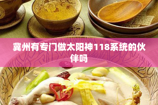冀州有专门做太阳神118系统的伙伴吗