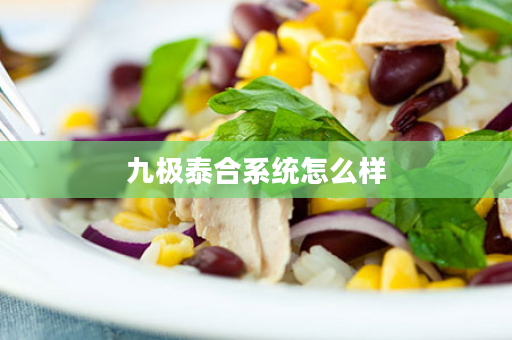 九极泰合系统怎么样