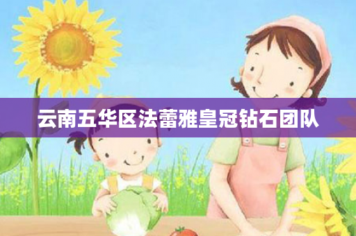 云南五华区法蕾雅皇冠钻石团队