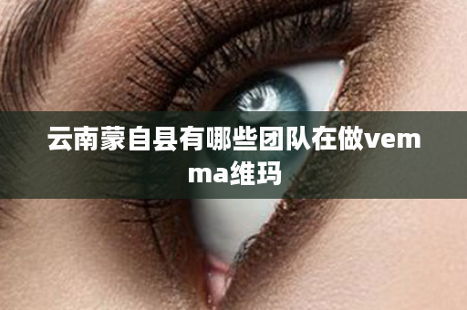 云南蒙自县有哪些团队在做vemma维玛