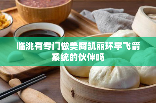 临洮有专门做美商凯丽环宇飞箭系统的伙伴吗