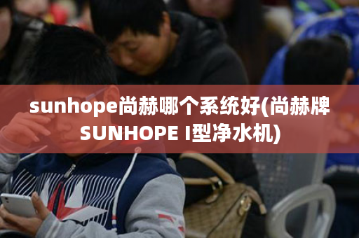sunhope尚赫哪个系统好(尚赫牌SUNHOPE I型净水机)