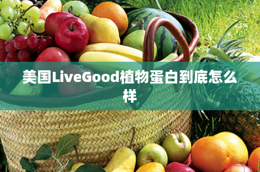 美国LiveGood植物蛋白到底怎么样