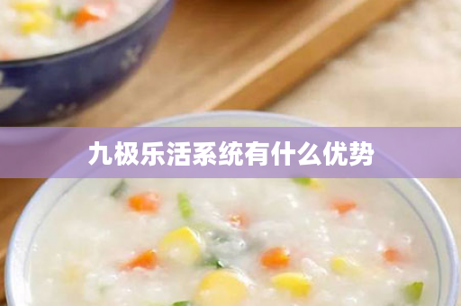 九极乐活系统有什么优势
