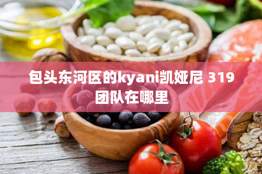 包头东河区的kyani凯娅尼 319团队在哪里