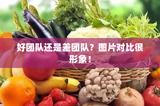 好团队还是差团队？图片对比很形象！
