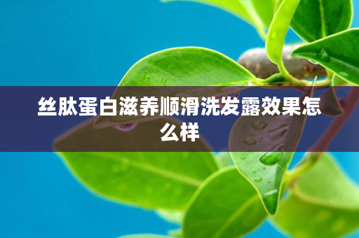 丝肽蛋白滋养顺滑洗发露效果怎么样
