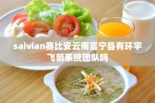 saivian赛比安云南富宁县有环宇飞箭系统团队吗