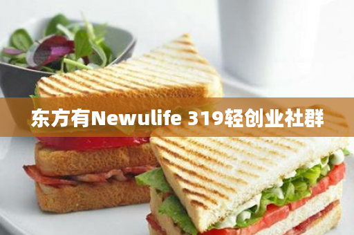 东方有Newulife 319轻创业社群