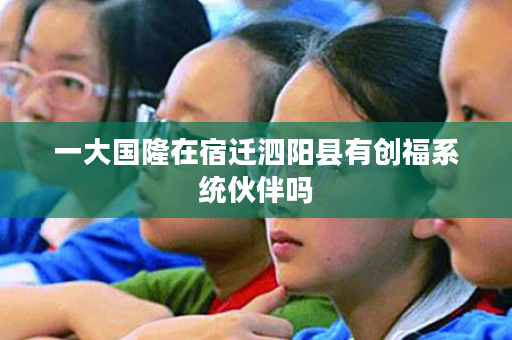 一大国隆在宿迁泗阳县有创福系统伙伴吗