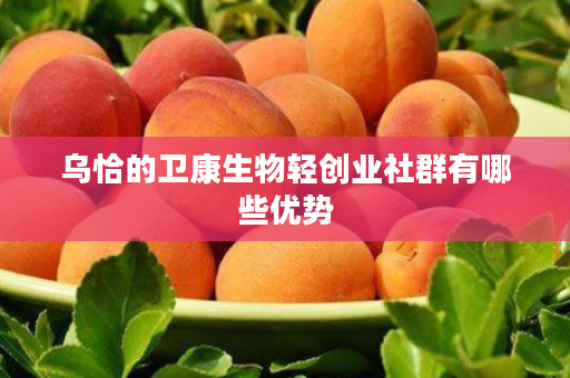 乌恰的卫康生物轻创业社群有哪些优势