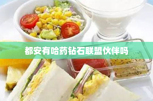 都安有哈药钻石联盟伙伴吗