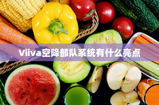 Viiva空降部队系统有什么亮点