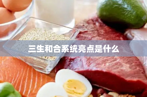 三生和合系统亮点是什么
