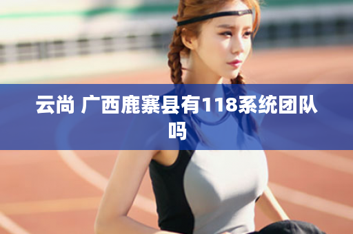 云尚 广西鹿寨县有118系统团队吗