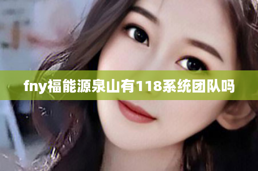 fny福能源泉山有118系统团队吗