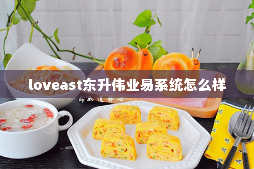 loveast东升伟业易系统怎么样