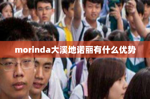 morinda大溪地诺丽有什么优势